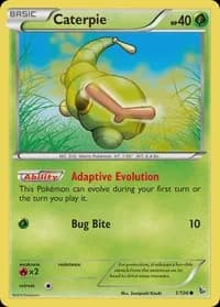 Caterpie