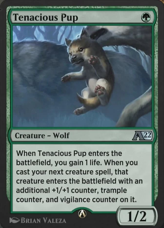 Tenacious Pup